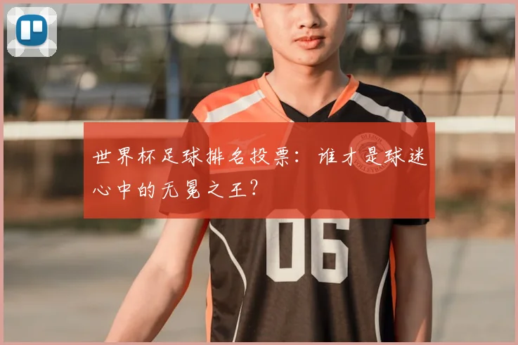 世界杯足球排名投票：谁才是球迷心中的无冕之王？