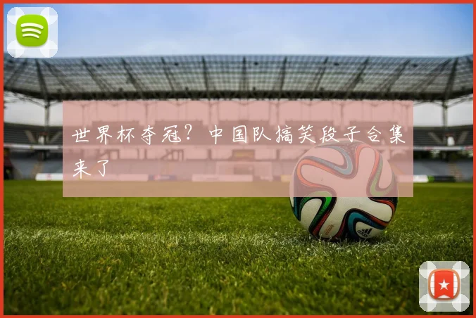 世界杯夺冠？中国队搞笑段子合集来了