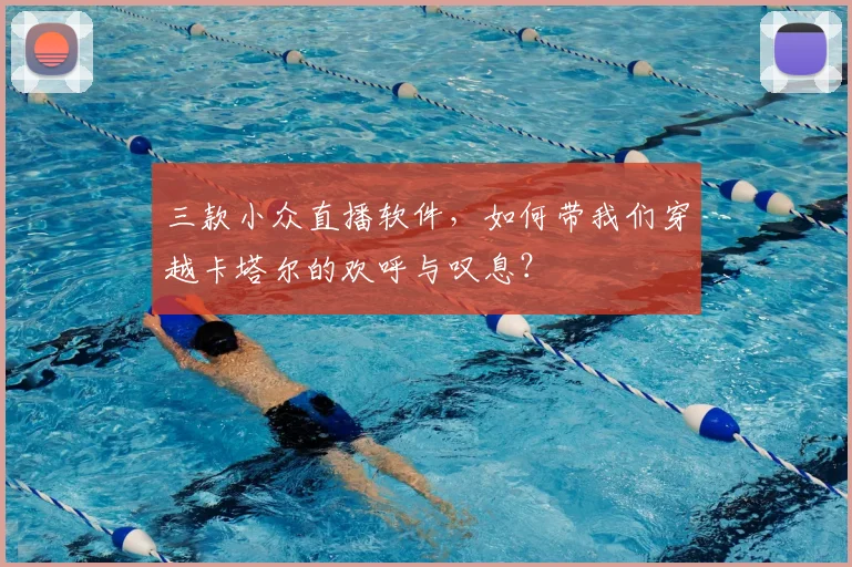 三款小众直播软件，如何带我们穿越卡塔尔的欢呼与叹息？