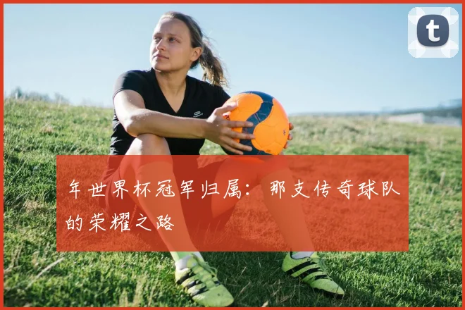 年世界杯冠军归属:那支传奇球队的荣耀之路