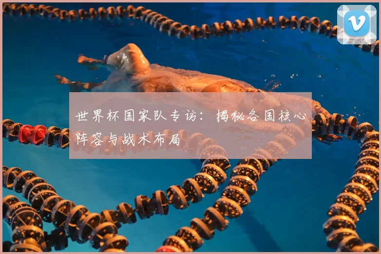 世界杯国家队专访：揭秘各国核心阵容与战术布局