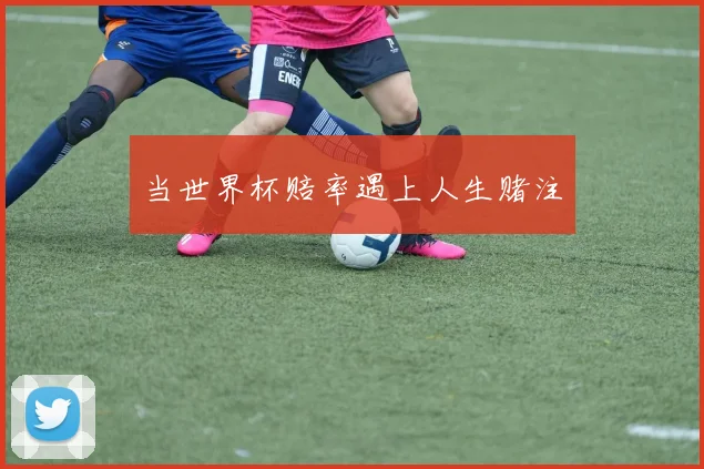 当世界杯赔率遇上人生赌注