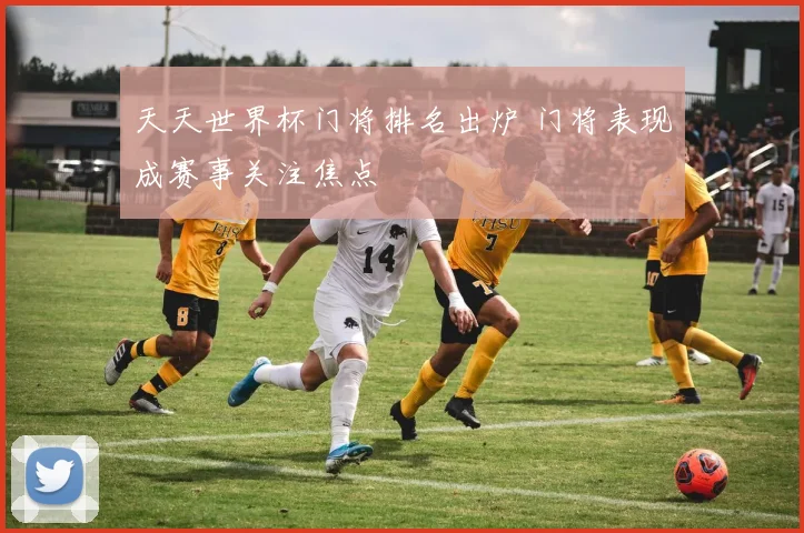天天世界杯门将排名出炉 门将表现成赛事关注焦点