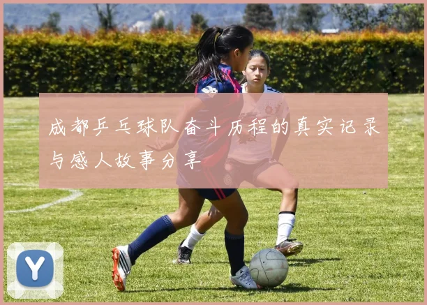 成都乒乓球队奋斗历程的真实记录与感人故事分享