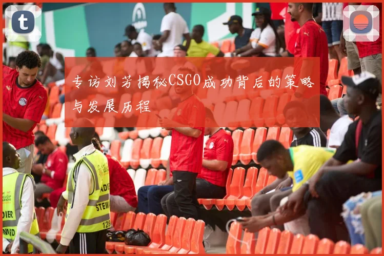 专访刘芳揭秘CSGO成功背后的策略与发展历程