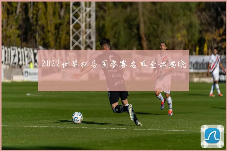 2022世界杯各国参赛名单全部揭晓