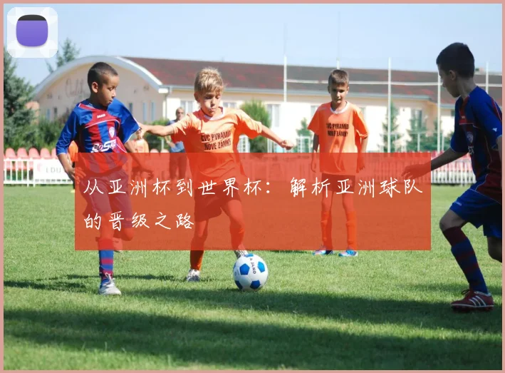 从亚洲杯到世界杯：解析亚洲球队的晋级之路