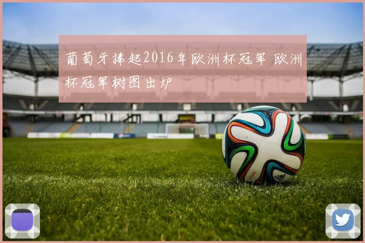 葡萄牙捧起2016年欧洲杯冠军 欧洲杯冠军树图出炉