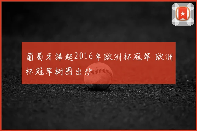 葡萄牙捧起2016年欧洲杯冠军 欧洲杯冠军树图出炉