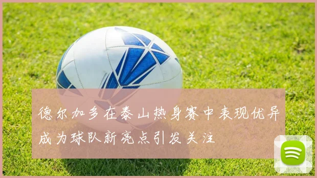 德尔加多在泰山热身赛中表现优异成为球队新亮点引发关注