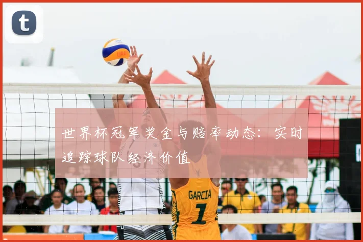 世界杯冠军奖金与赔率动态：实时追踪球队经济价值