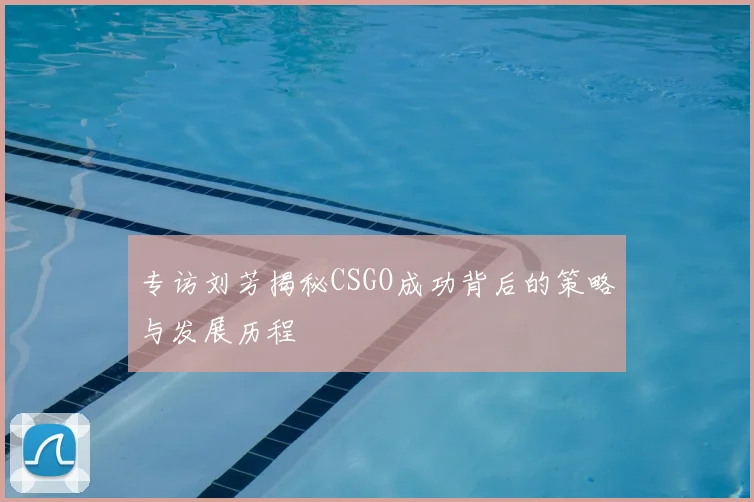 专访刘芳揭秘CSGO成功背后的策略与发展历程